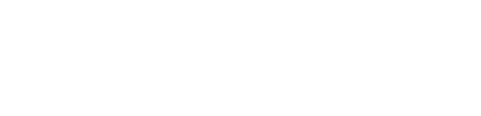 Africa Fencing Zambia logo